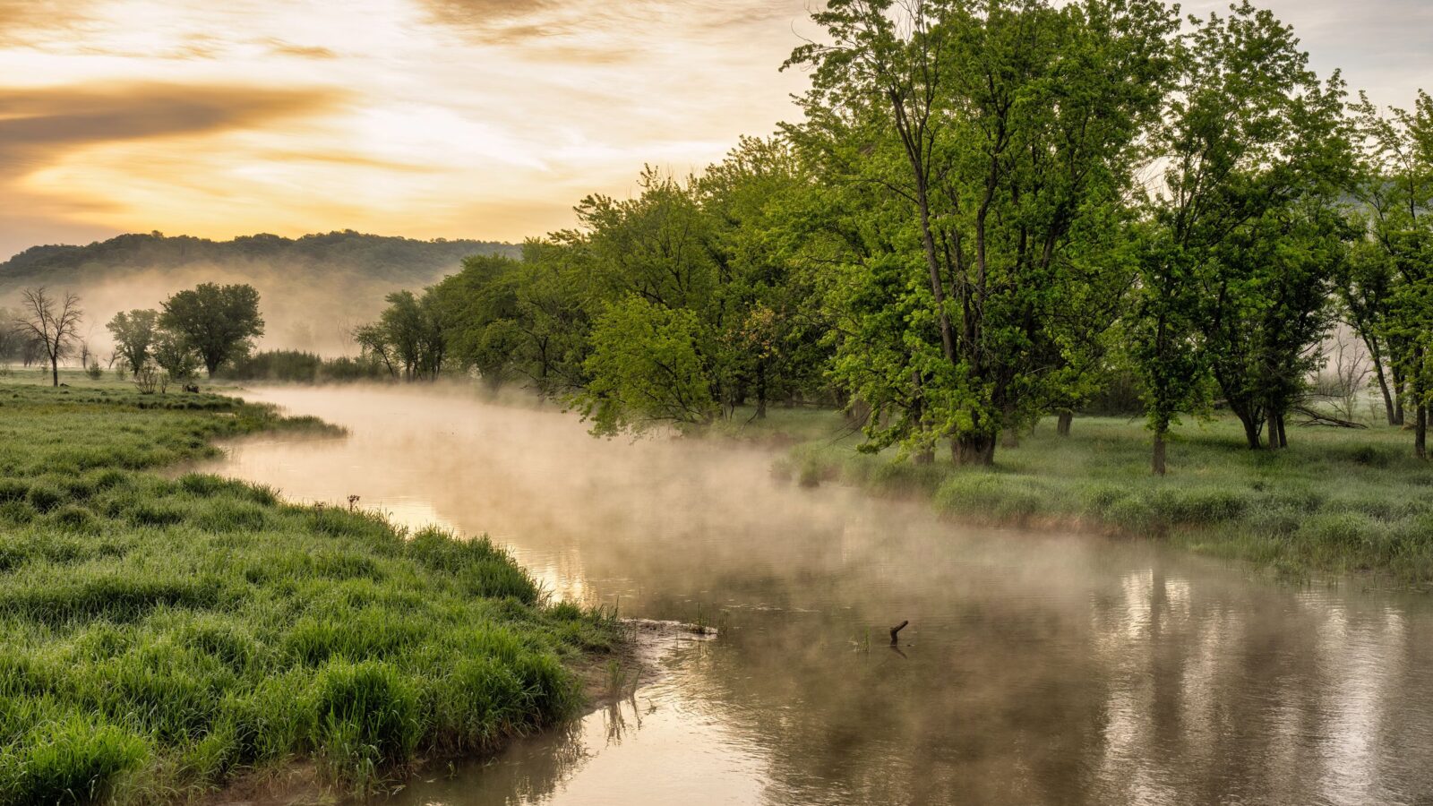 Morning mist over a calm river between green trees