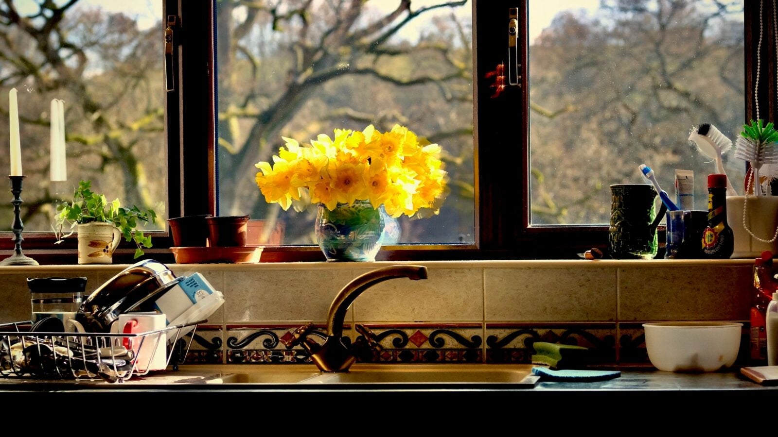 Morning sun through a kitchen window onto a vase of yellow daffodils