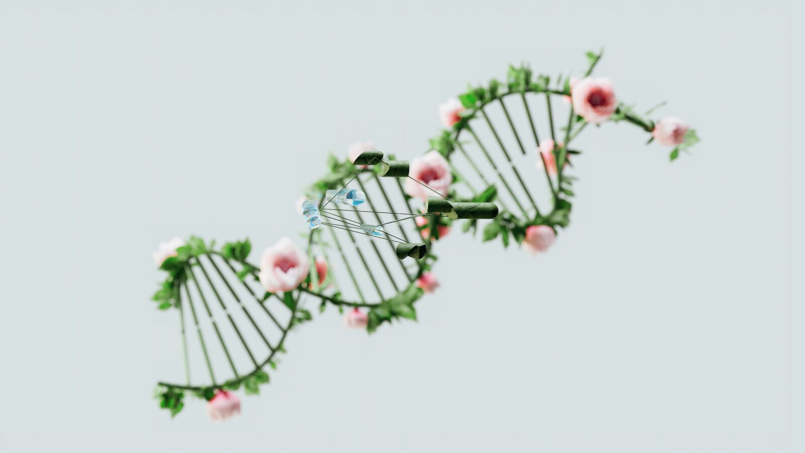 A model of a DNA double helix with flowers growing along it